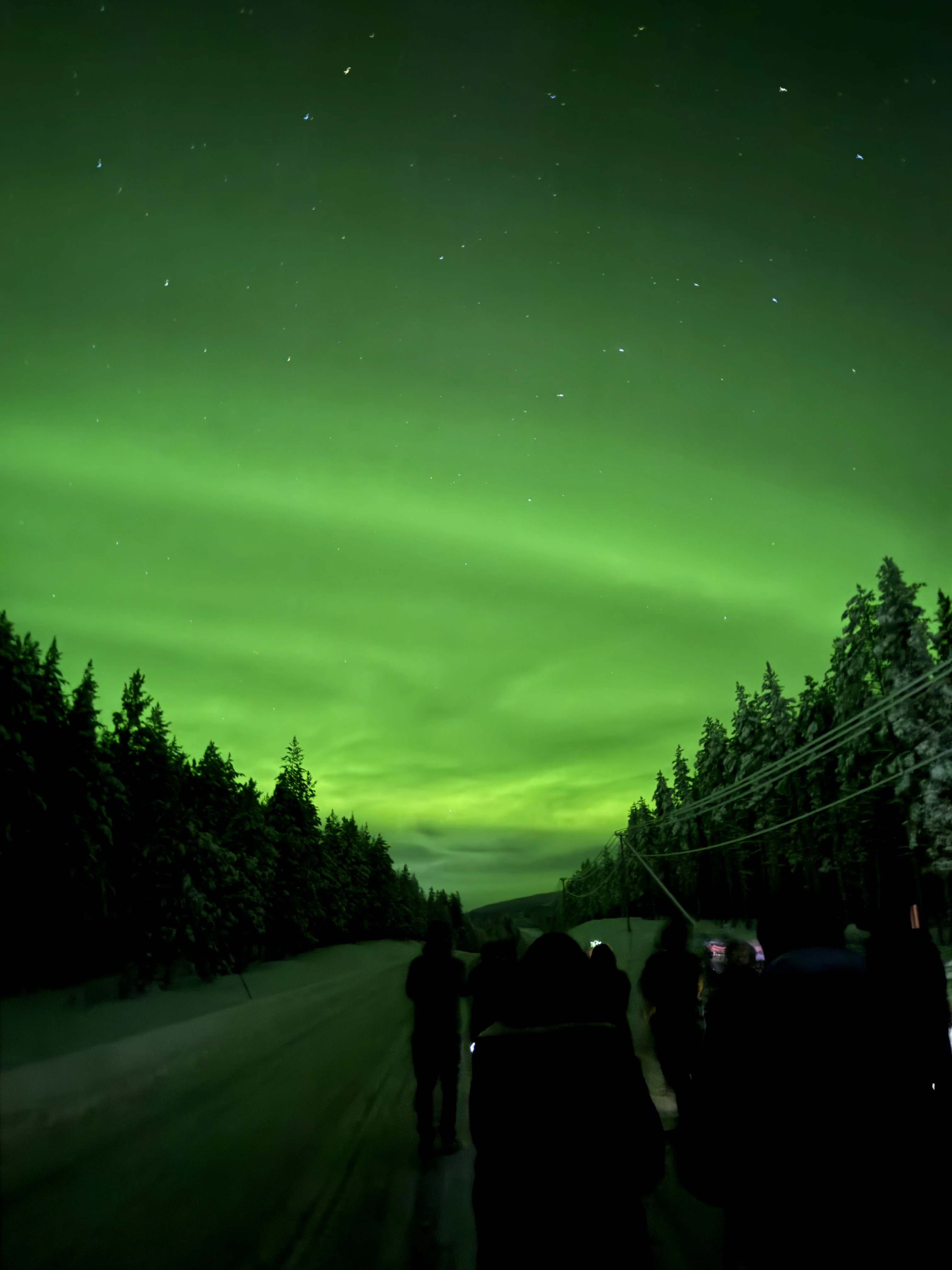 Northern Lights over a frozen lake on the Aurora hunting tour