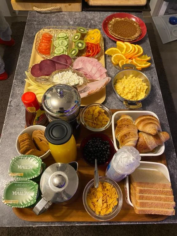Lappish gourmet dinner served at the villa